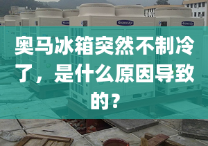 奥马冰箱突然不制冷了，是什么原因导致的？