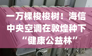 一万棵梭梭树！海信中央空调在敦煌种下“健康公益林”