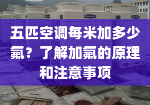 五匹空调每米加多少氟？了解加氟的原理和注意事项