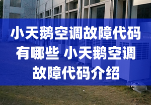 小天鹅空调故障代码有哪些 小天鹅空调故障代码介绍