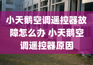 小天鹅空调遥控器故障怎么办 小天鹅空调遥控器原因