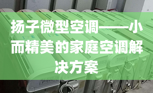 扬子微型空调——小而精美的家庭空调解决方案