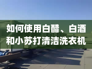 如何使用白醋、白酒和小苏打清洁洗衣机