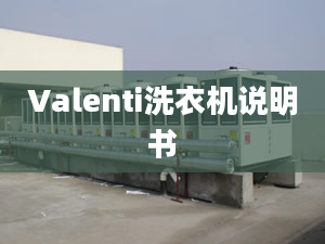 Valenti洗衣机说明书