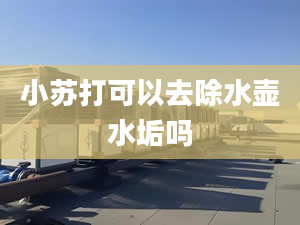 小苏打可以去除水壶水垢吗