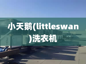 小天鹅(littleswan)洗衣机