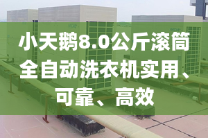 小天鹅8.0公斤滚筒全自动洗衣机实用、可靠、高效