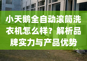 小天鹅全自动滚筒洗衣机怎么样？解析品牌实力与产品优势