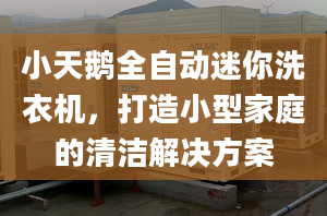 小天鹅全自动迷你洗衣机，打造小型家庭的清洁解决方案