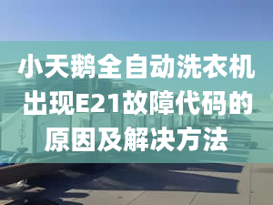 小天鹅全自动洗衣机出现E21故障代码的原因及解决方法