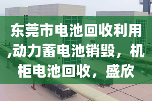 东莞市电池回收利用,动力蓄电池销毁，机柜电池回收，盛欣