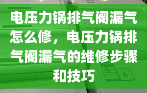 电压力锅排气阀漏气怎么修，电压力锅排气阀漏气的维修步骤和技巧