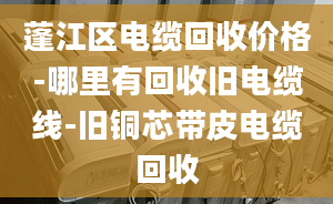 蓬江区电缆回收价格-哪里有回收旧电缆线-旧铜芯带皮电缆回收