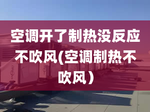 空调开了制热没反应不吹风(空调制热不吹风）