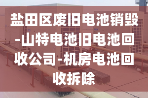 盐田区废旧电池销毁-山特电池旧电池回收公司-机房电池回收拆除