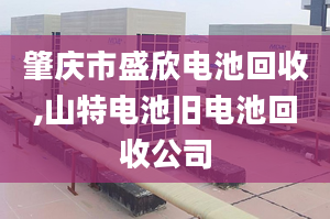 肇庆市盛欣电池回收,山特电池旧电池回收公司