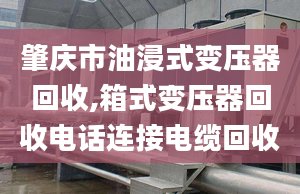 肇庆市油浸式变压器回收,箱式变压器回收电话连接电缆回收