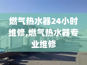 燃气热水器24小时维修,燃气热水器专业维修