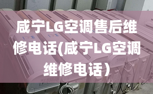 咸宁LG空调售后维修电话(咸宁LG空调维修电话）