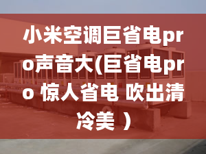 小米空调巨省电pro声音大(巨省电pro 惊人省电 吹出清冷美 ）