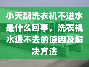 小天鹅洗衣机不进水是什么回事，洗衣机水进不去的原因及解决方法