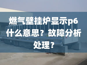 燃气壁挂炉显示p6什么意思？故障分析处理？