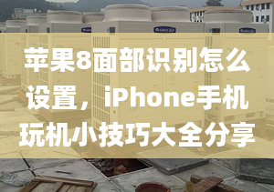 苹果8面部识别怎么设置，iPhone手机玩机小技巧大全分享