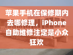 苹果手机在保修期内去哪修理，iPhone自助维修注定是小众狂欢