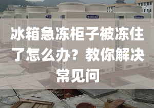 冰箱急冻柜子被冻住了怎么办？教你解决常见问