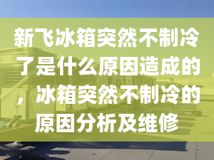 新飞冰箱突然不制冷了是什么原因造成的，冰箱突然不制冷的原因分析及维修