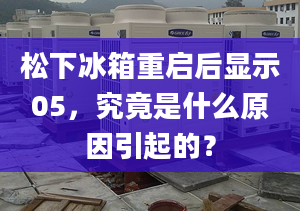 松下冰箱重启后显示05，究竟是什么原因引起的？