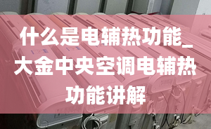 什么是电辅热功能_大金中央空调电辅热功能讲解