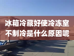 冰箱冷藏好使冷冻室不制冷是什么原因呢