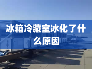 冰箱冷藏室冰化了什么原因