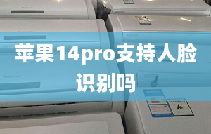 苹果14pro支持人脸识别吗