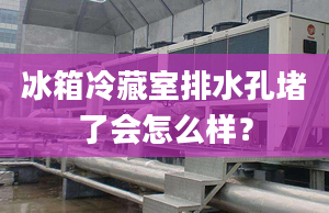 冰箱冷藏室排水孔堵了会怎么样？