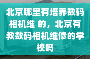 北京哪里有培养数码相机维 的，北京有教数码相机维修的学校吗