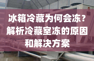 冰箱冷藏为何会冻？解析冷藏室冻的原因和解决方案