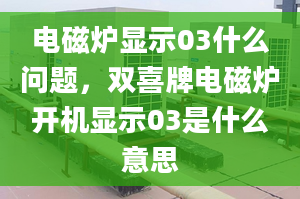 电磁炉显示03什么问题，双喜牌电磁炉开机显示03是什么意思