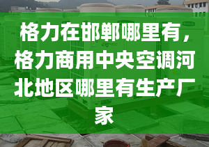 格力在邯郸哪里有，格力商用中央空调河北地区哪里有生产厂家