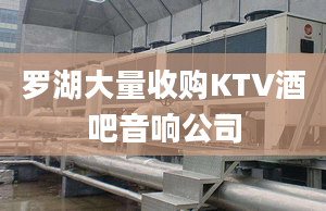 罗湖大量收购KTV酒吧音响公司