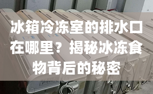 冰箱冷冻室的排水口在哪里？揭秘冰冻食物背后的秘密