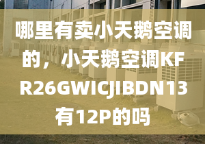 哪里有卖小天鹅空调的，小天鹅空调KFR26GWICJIBDN13有12P的吗