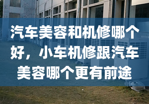 汽车美容和机修哪个好，小车机修跟汽车美容哪个更有前途