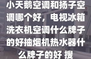 小天鹅空调和扬子空调哪个好，电视冰箱洗衣机空调什么牌子的好抽烟机热水器什么牌子的好 搜