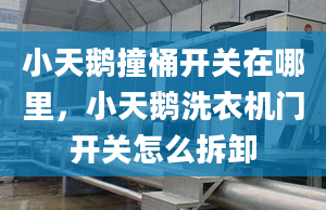 小天鹅撞桶开关在哪里，小天鹅洗衣机门开关怎么拆卸