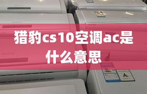 猎豹cs10空调ac是什么意思