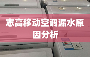 志高移动空调漏水原因分析