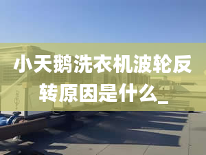 小天鹅洗衣机波轮反转原因是什么_