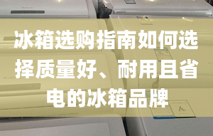 冰箱选购指南如何选择质量好、耐用且省电的冰箱品牌